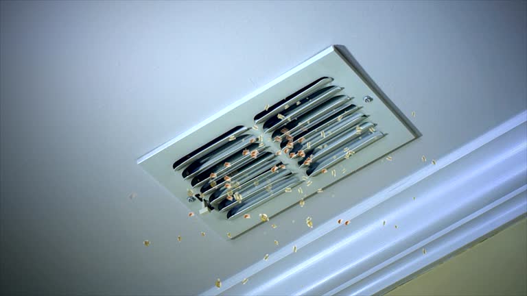 Best Best Air Duct Cleaning Company  in Moorefield, WV